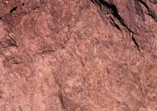 c5d06376df7ffde704c7c44c40d292bcb56bdfef_719337798