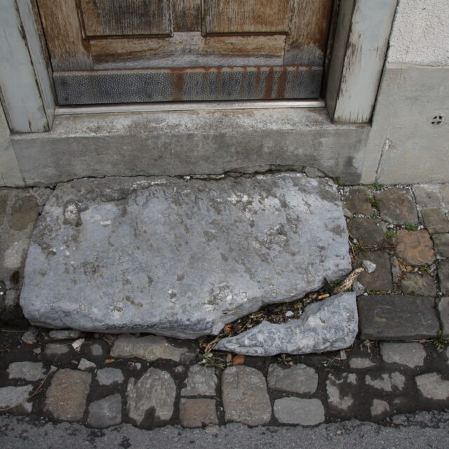 Glarus_03_NZGL