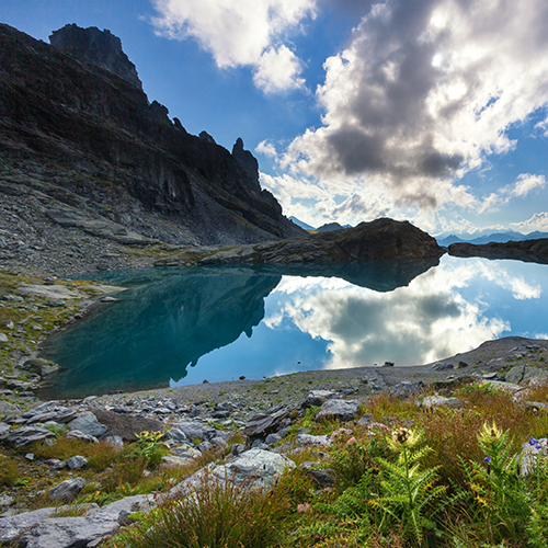 Schottensee_Jahresbericht
