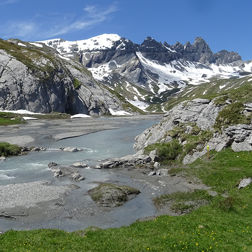 segnesboden_web